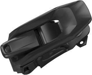 Toe Buckle Pair