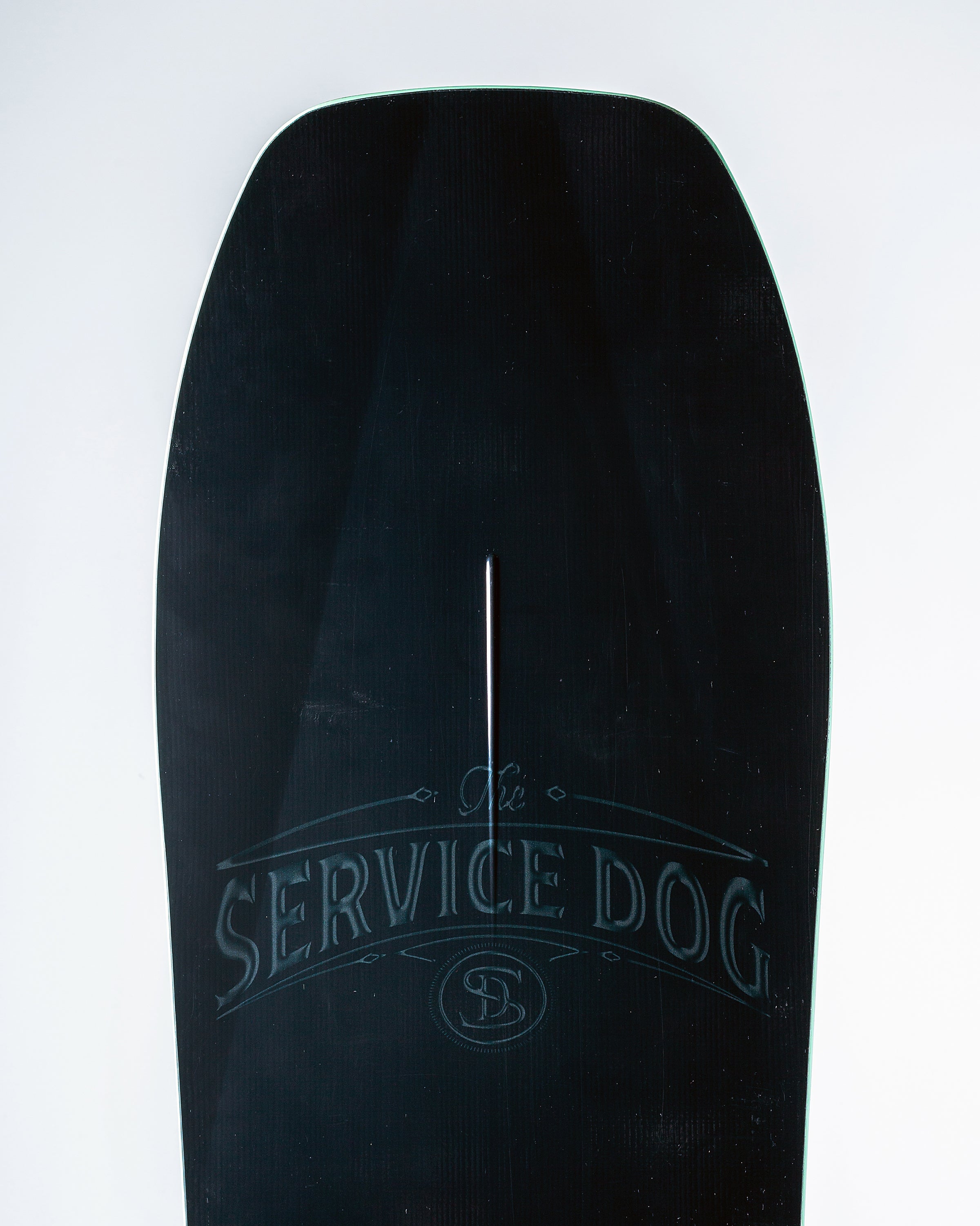 Service Dog